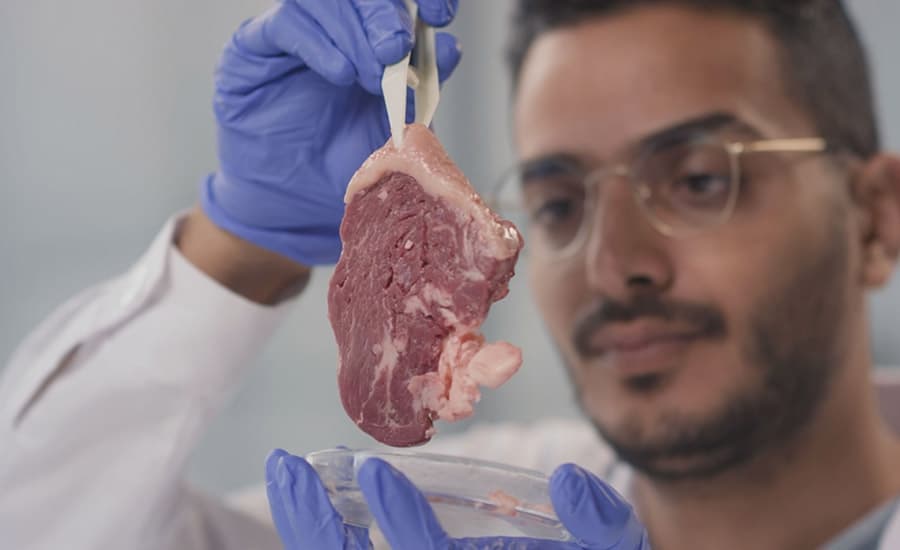 Detection of meat spoilage
