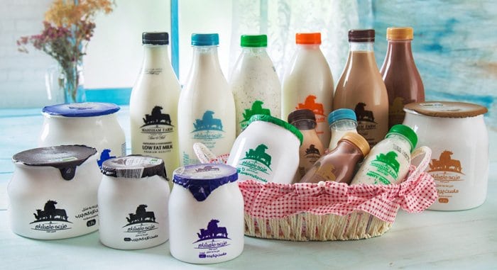 Mahsham Farm Dairy