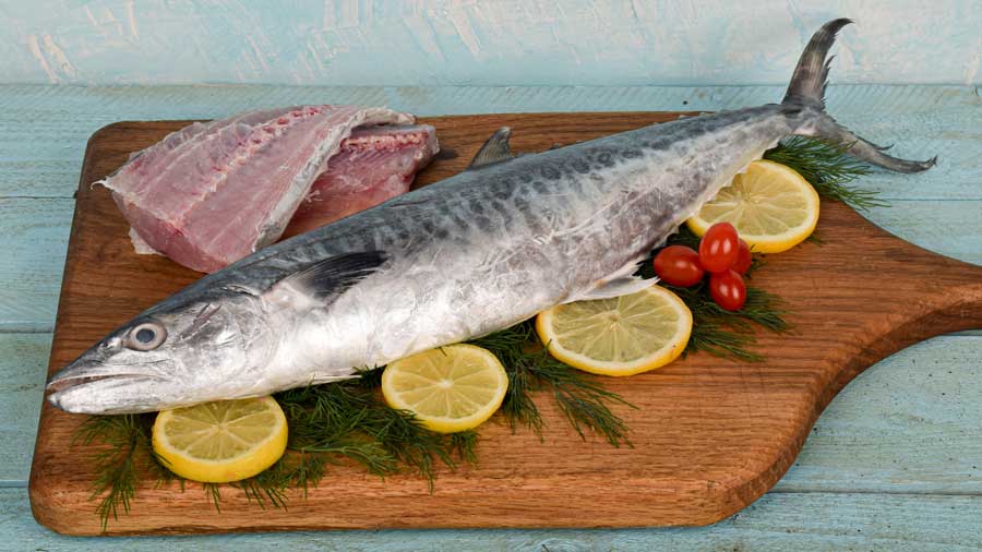 Narrow-barred Spanish mackerel_fishery
