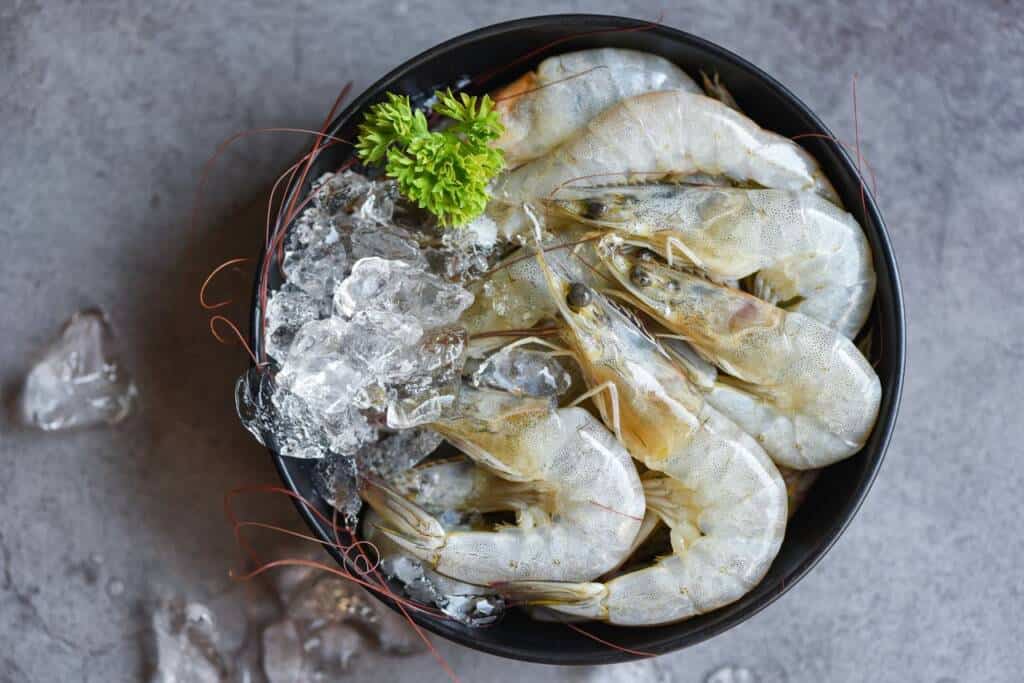 white_shrimp_fisheries