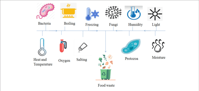 Factors of food spoilage