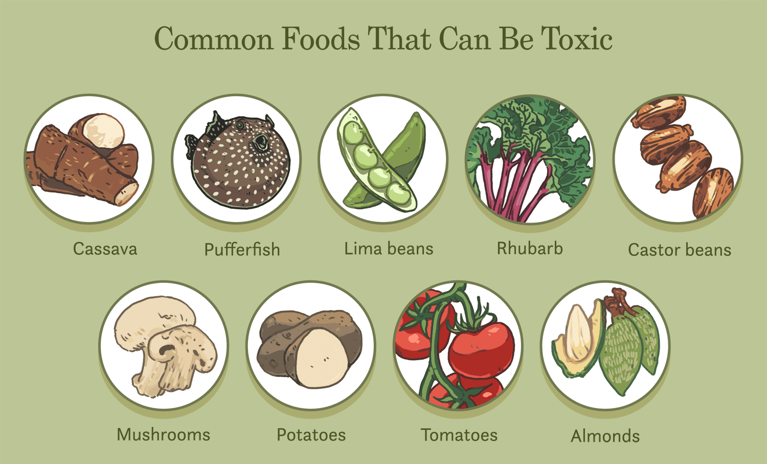 Plant toxins in food